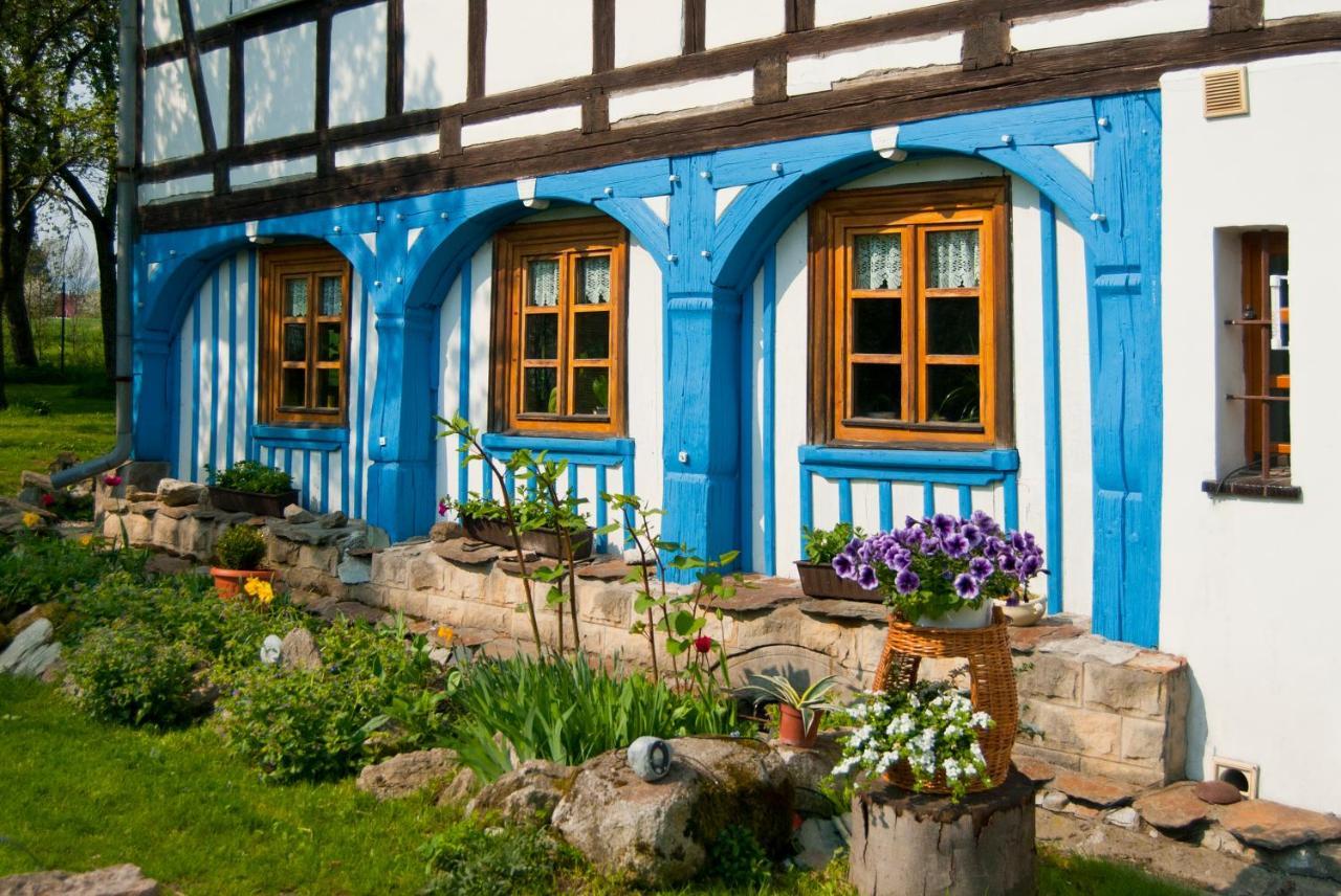 Dom Przyslupowy Educare -Agroturystyka Slow Food Świeradów-Zdrój Kültér fotó